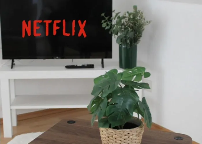 Glueckaufbud Wlan Netflix Stellplatz شفارتسنبرغ
